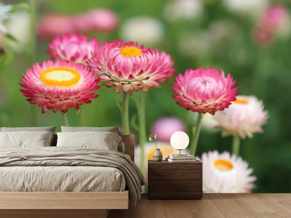 photo-wallpaper-flowers-of-spring