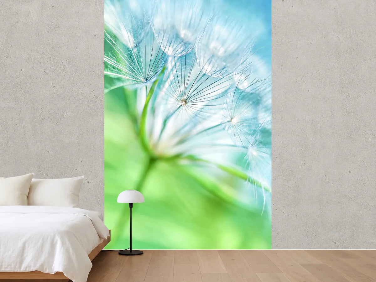 photo-wallpaper-macro-dandelion
