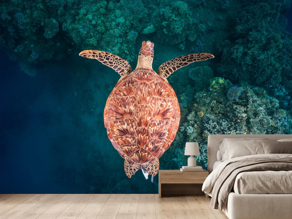 photo-wallpaper-graceful-sea-turtle-swim