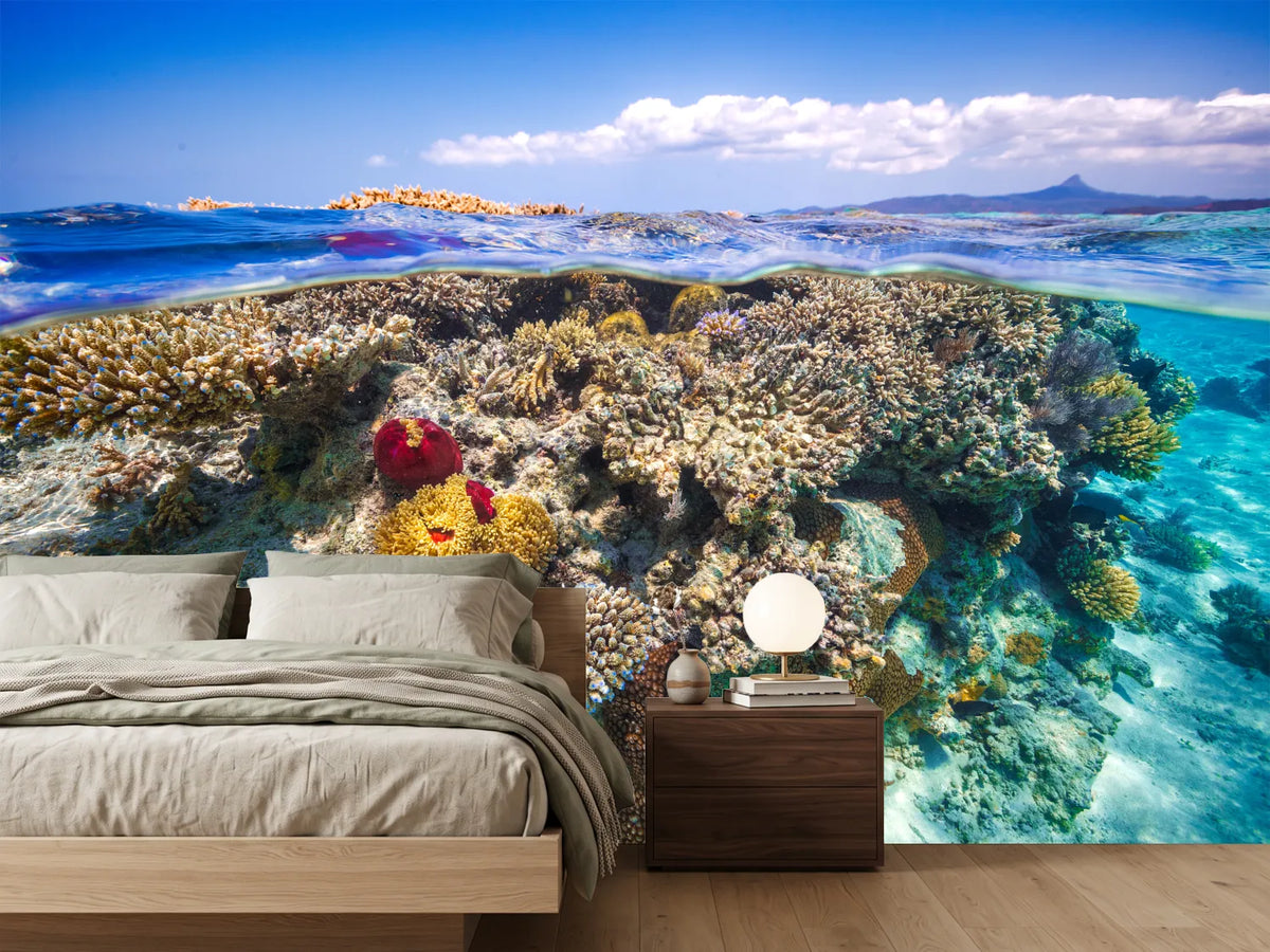 photo-wallpaper-mayotte-the-reef