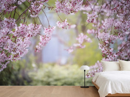 photo-wallpaper-in-the-beautiful-spring