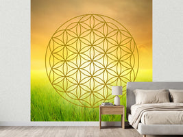 photo-wallpaper-flower-of-life-in-the-shining-field