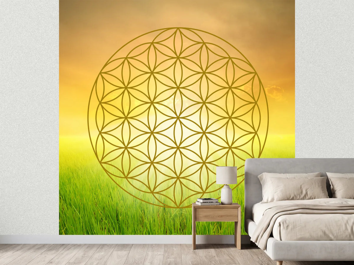 photo-wallpaper-flower-of-life-in-the-shining-field