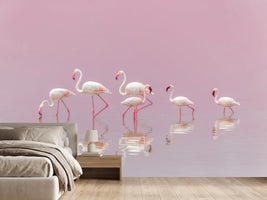 photo-wallpaper-flamingos-xyo