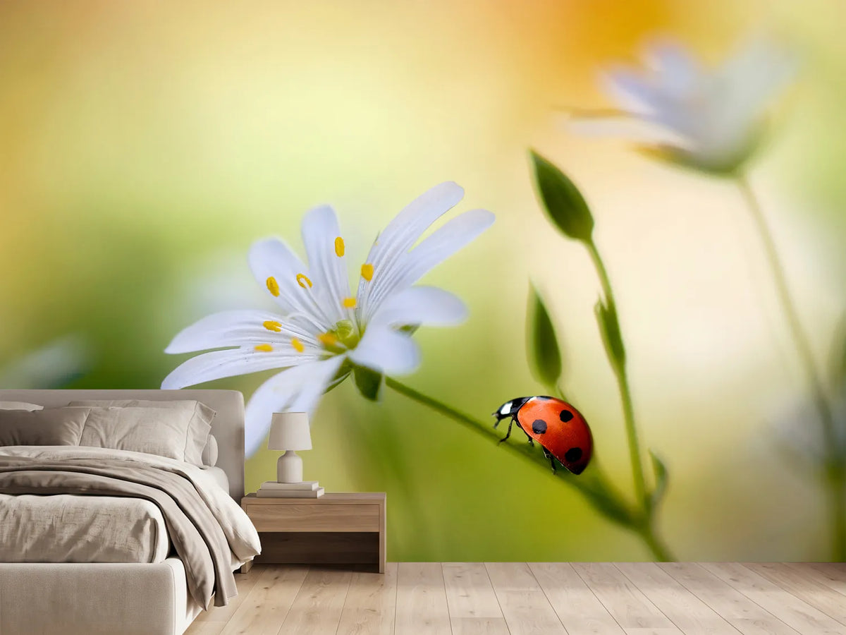 photo-wallpaper-summer-beauties-x