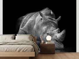 photo-wallpaper-powerful-resting-rhino