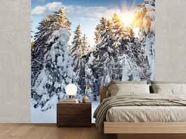 photo-wallpaper-fir-in-snow