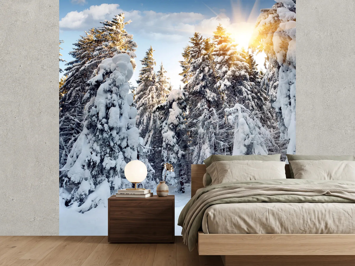 photo-wallpaper-fir-in-snow