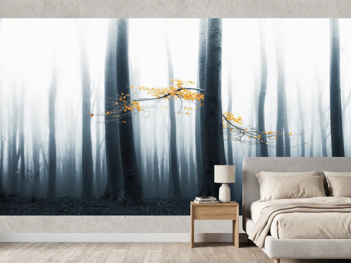 photo-wallpaper-misty-forest-glow-2