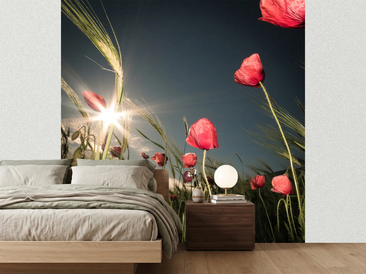 photo-wallpaper-summer-is-here-x