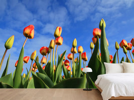 photo-wallpaper-tulips-tower-to-the-sky
