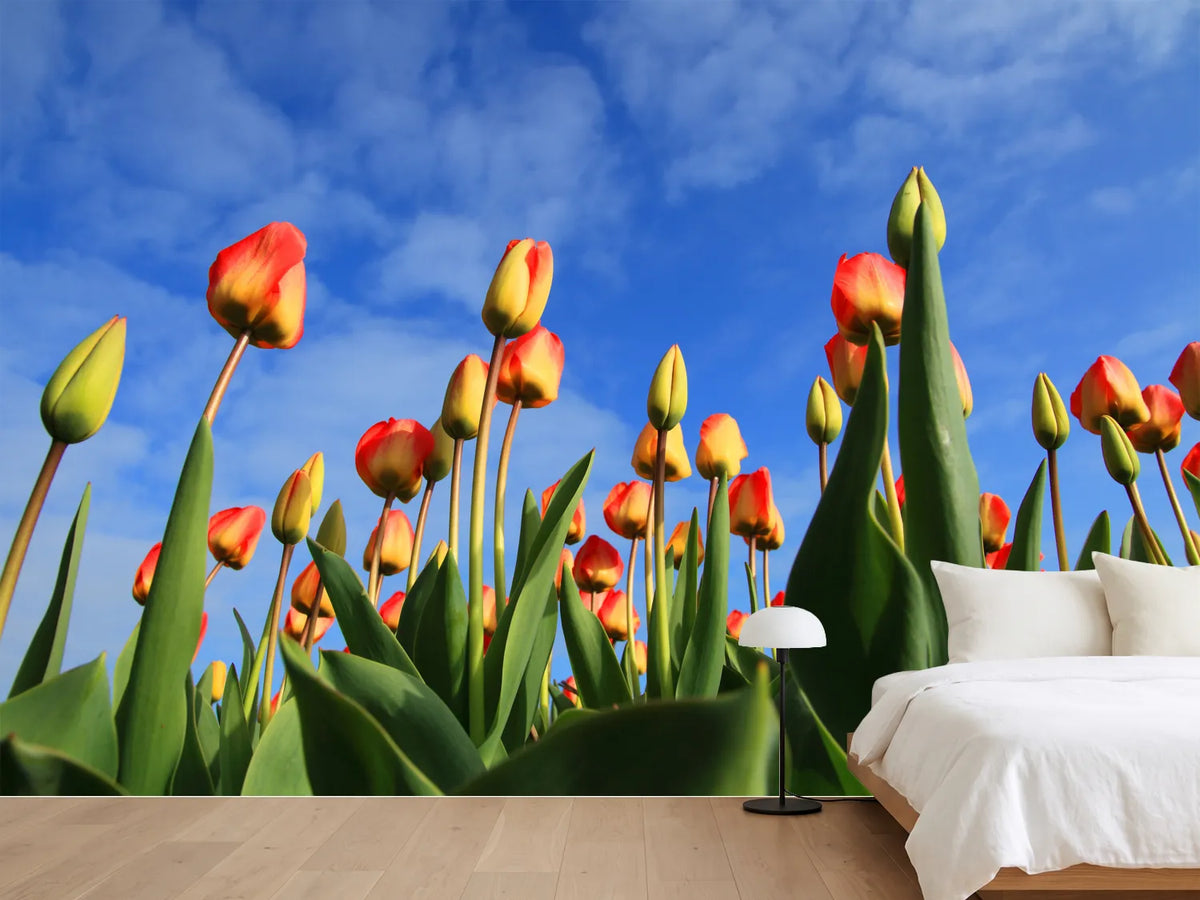 photo-wallpaper-tulips-tower-to-the-sky
