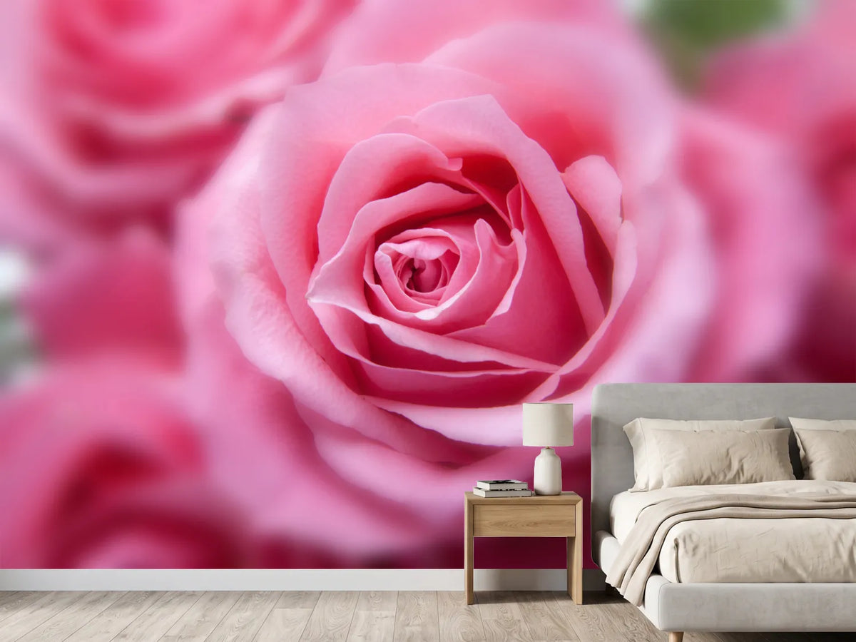 photo-wallpaper-roses-macro