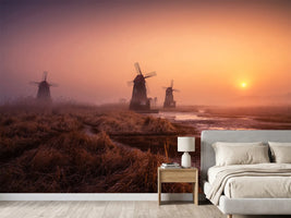 photo-wallpaper-foggy-morning-xji