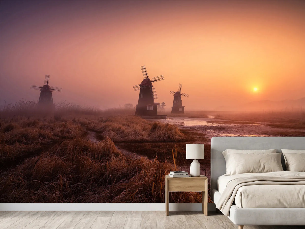 photo-wallpaper-foggy-morning-xji