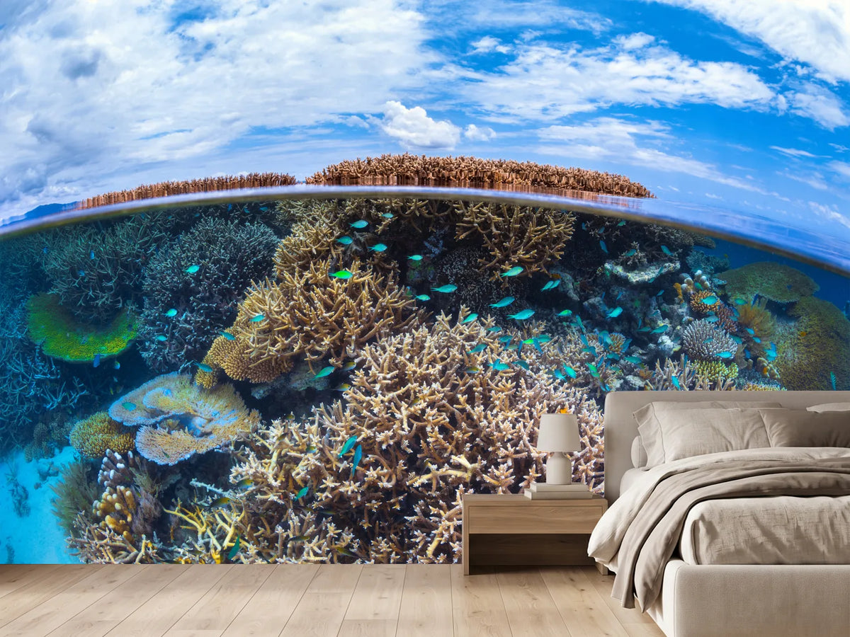 photo-wallpaper-split-level-from-mayotte-reef-x