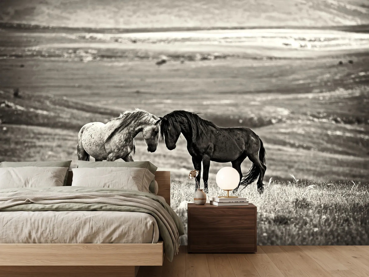 photo-wallpaper-close-encounter-x