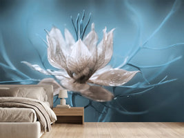photo-wallpaper-nigella