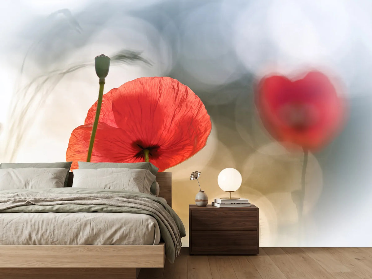 photo-wallpaper-morning-poppies-x