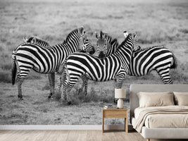 photo-wallpaper-stripes-xoh