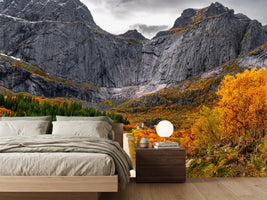 photo-wallpaper-road-to-the-wall-x