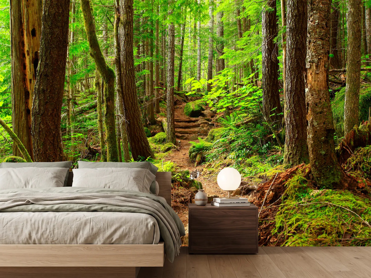 photo-wallpaper-a-picture-of-an-pacific-northwest-forest-trail