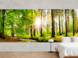 photo-wallpaper-beautiful-forest-panorama-in-spring-with-bright-sun-shining-through-the-trees