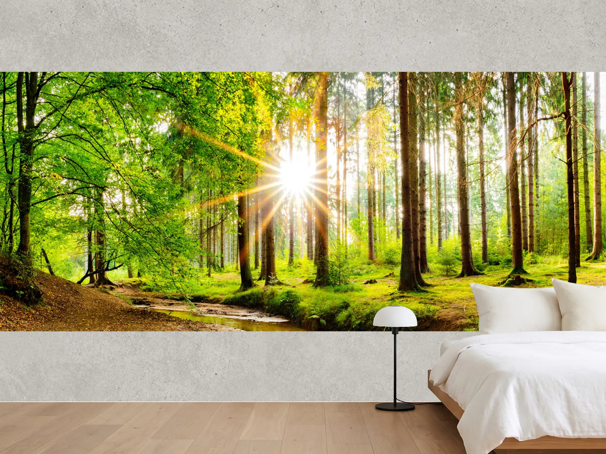 photo-wallpaper-beautiful-forest-panorama-in-spring-with-bright-sun-shining-through-the-trees