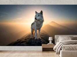 photo-wallpaper-majestic-white-wolf-standing-on-mountain-peak-at-sunset