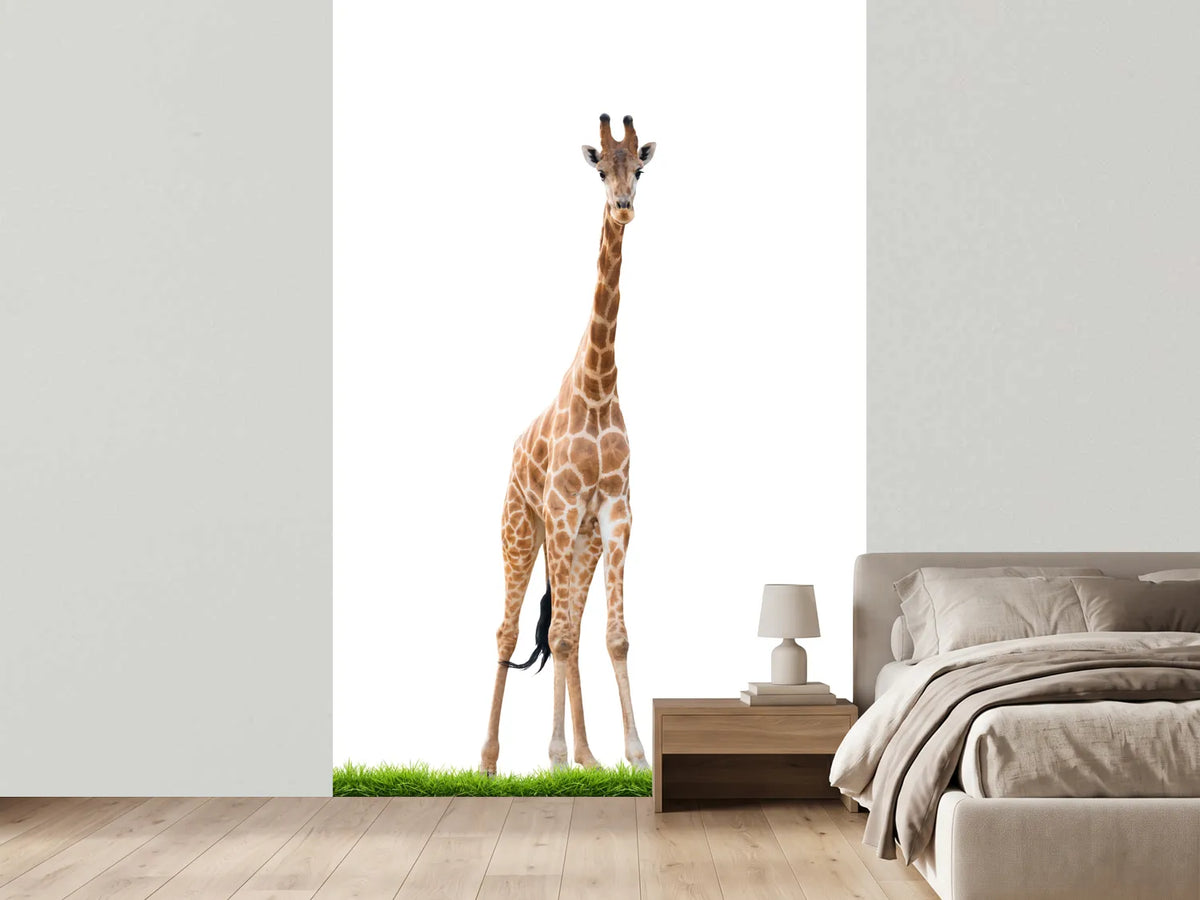 photo-wallpaper-the-long-giraffe