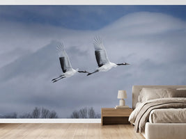 photo-wallpaper-graceful-cranes-in-flight