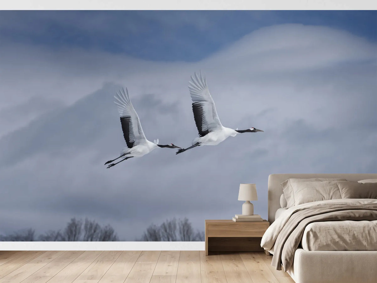 photo-wallpaper-graceful-cranes-in-flight