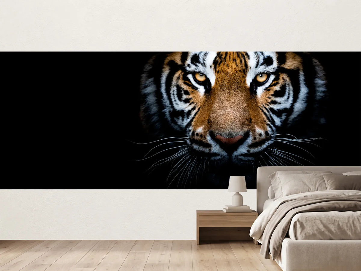 photo-wallpaper-tiger-with-a-black-background