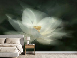 photo-wallpaper-swaying-x