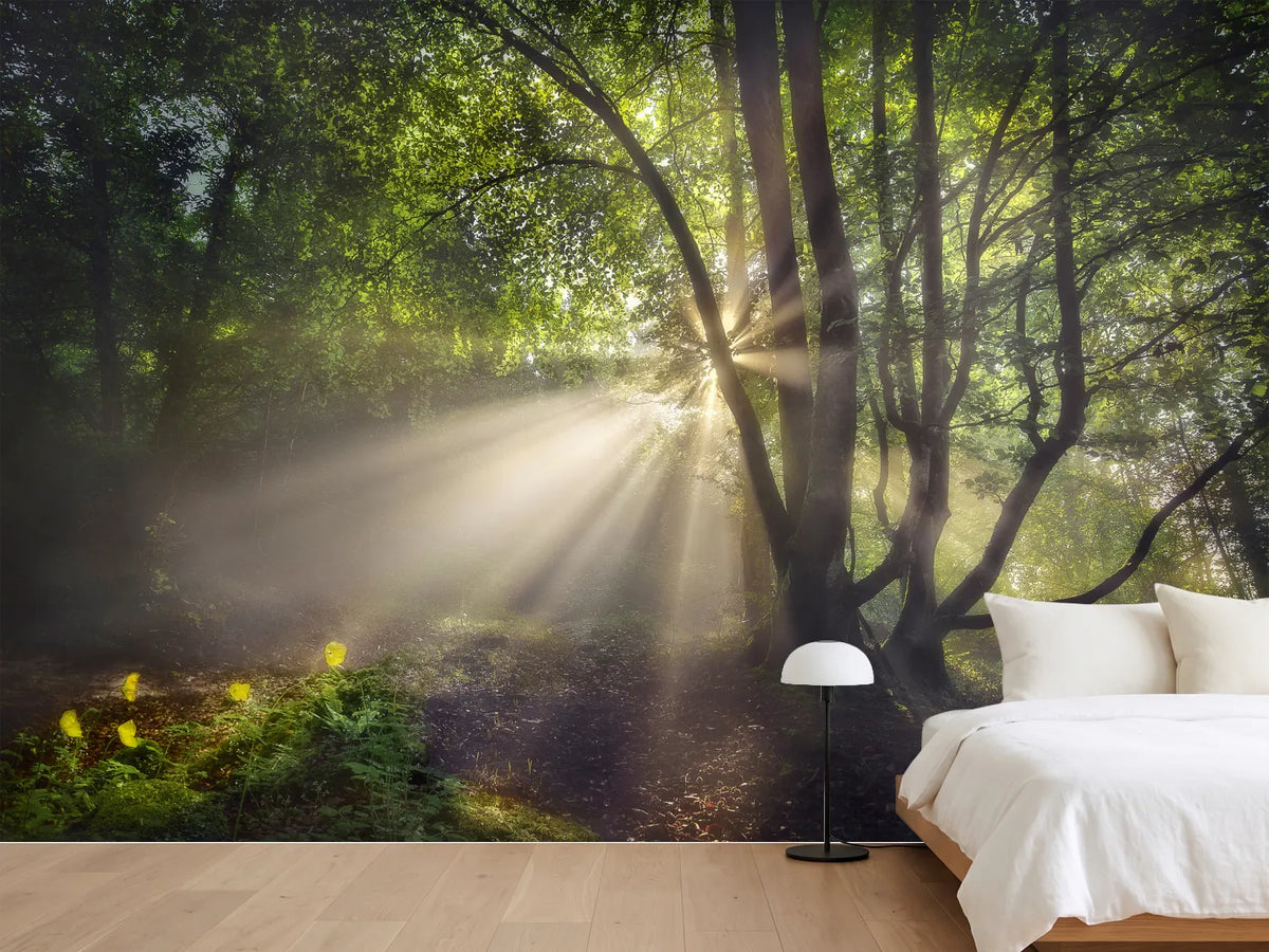 photo-wallpaper-the-morning-light-x