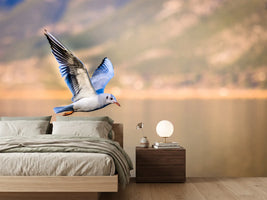 photo-wallpaper-the-flying-seagull