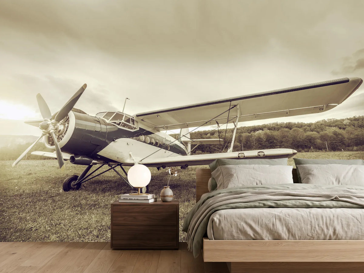 photo-wallpaper-nostalgic-aircraft-in-retro-style