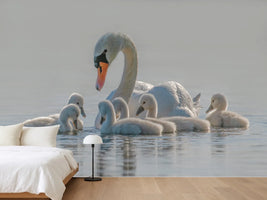 photo-wallpaper-mom-is-the-whole-world-for-babies-x
