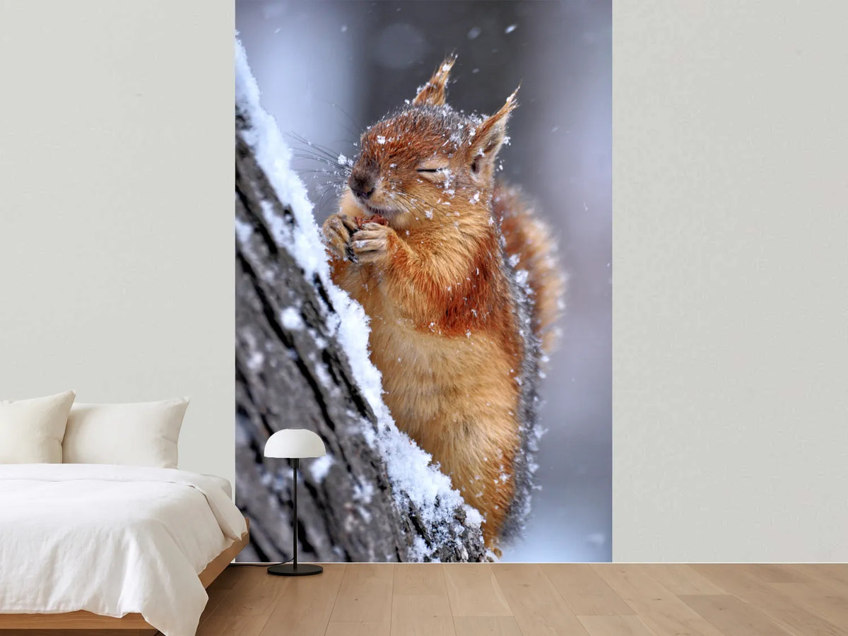 photo-wallpaper-winter-xwg
