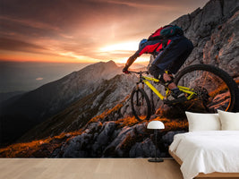 photo-wallpaper-golden-hour-high-alpine-ride