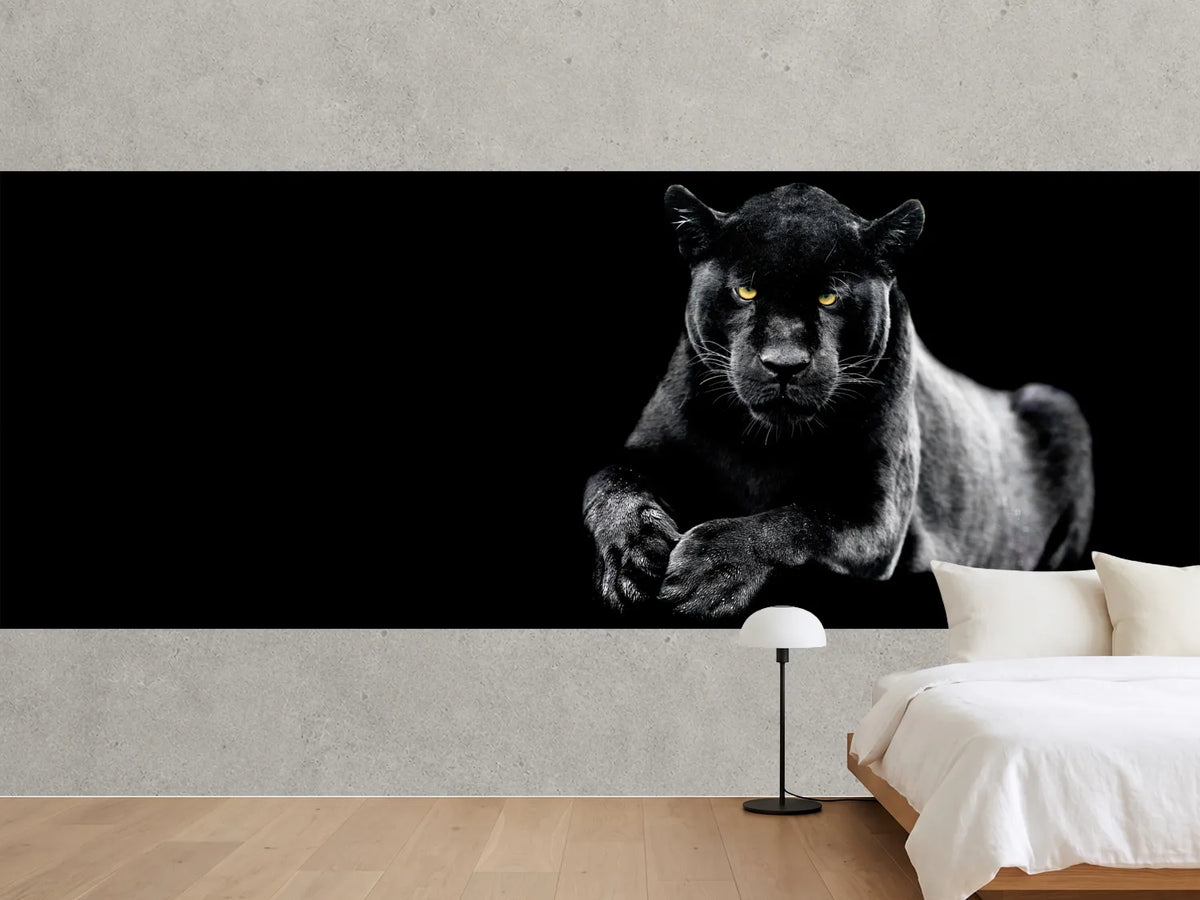 photo-wallpaper-jaguar-with-a-black-background