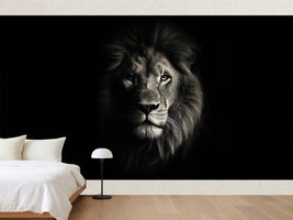 photo-wallpaper-portrait-of-a-beautiful-lion-lion-at-the-waterhole