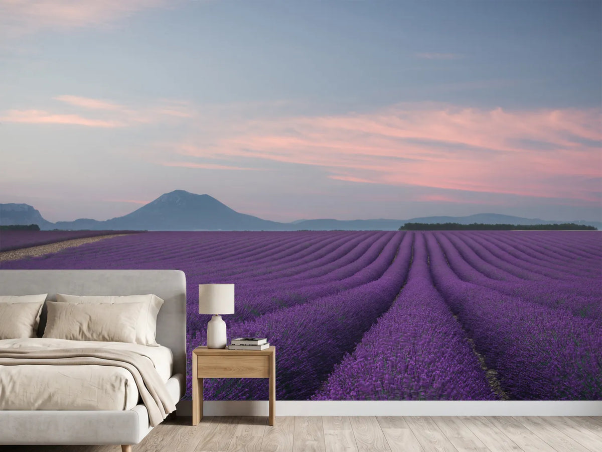 photo-wallpaper-lavender-field