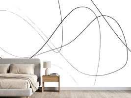 photo-wallpaper-loose-lines