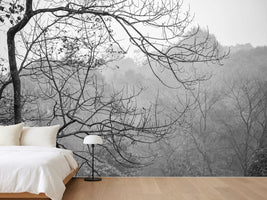 photo-wallpaper-relax
