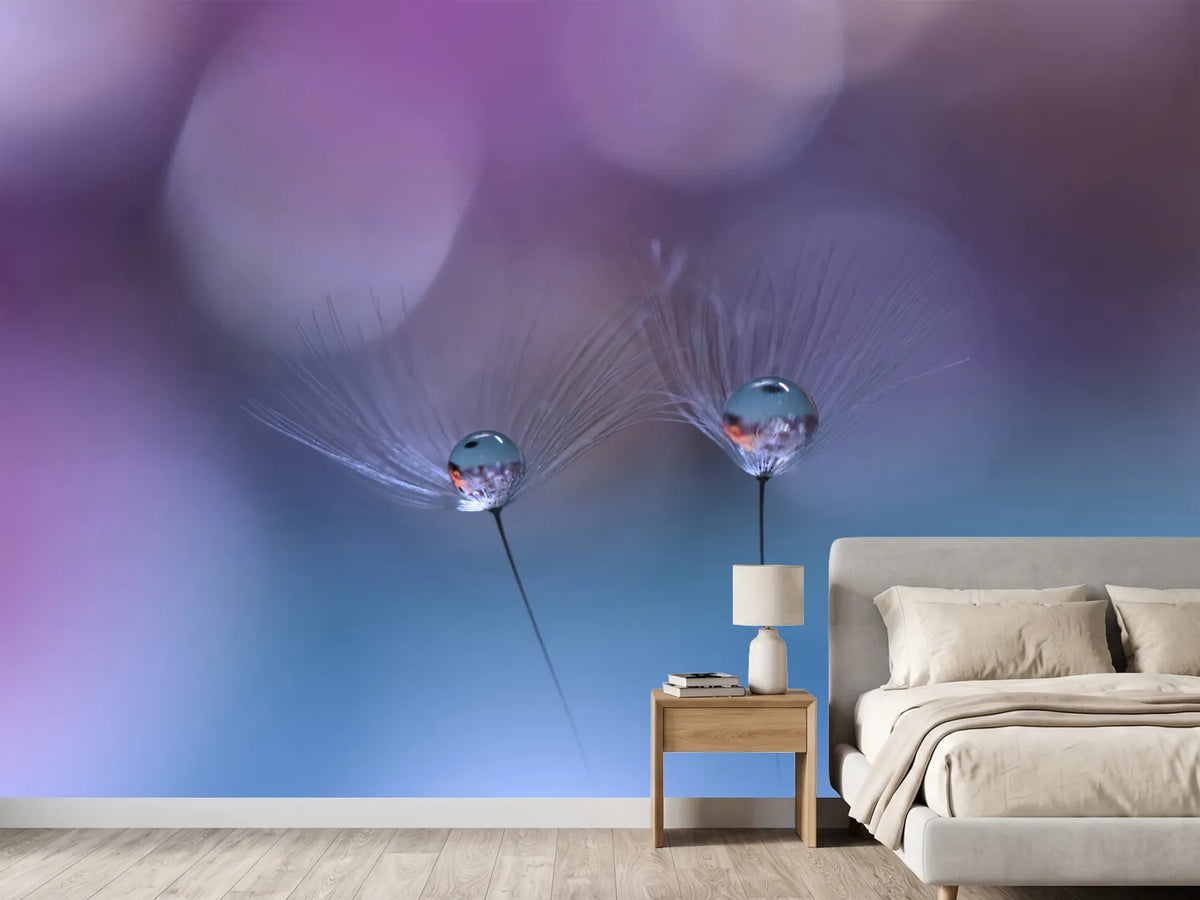 photo-wallpaper-reflection-xlt