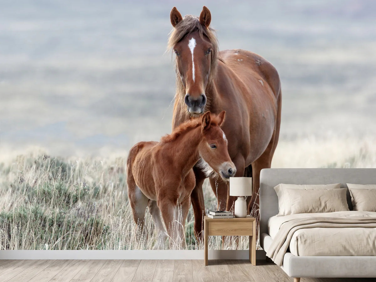 photo-wallpaper-wild-horses-3