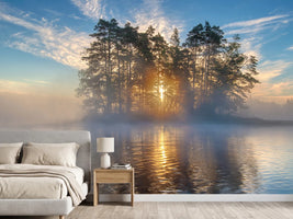 photo-wallpaper-morning-light-xmh