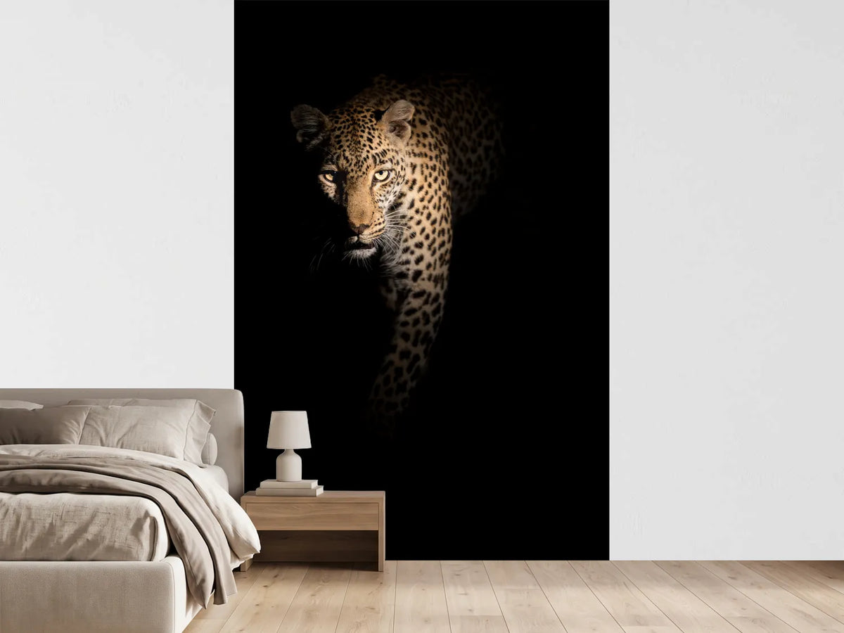 photo-wallpaper-out-of-the-darkness-x