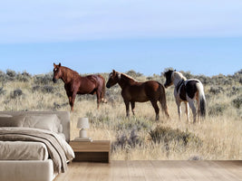 photo-wallpaper-3-horses-in-nature